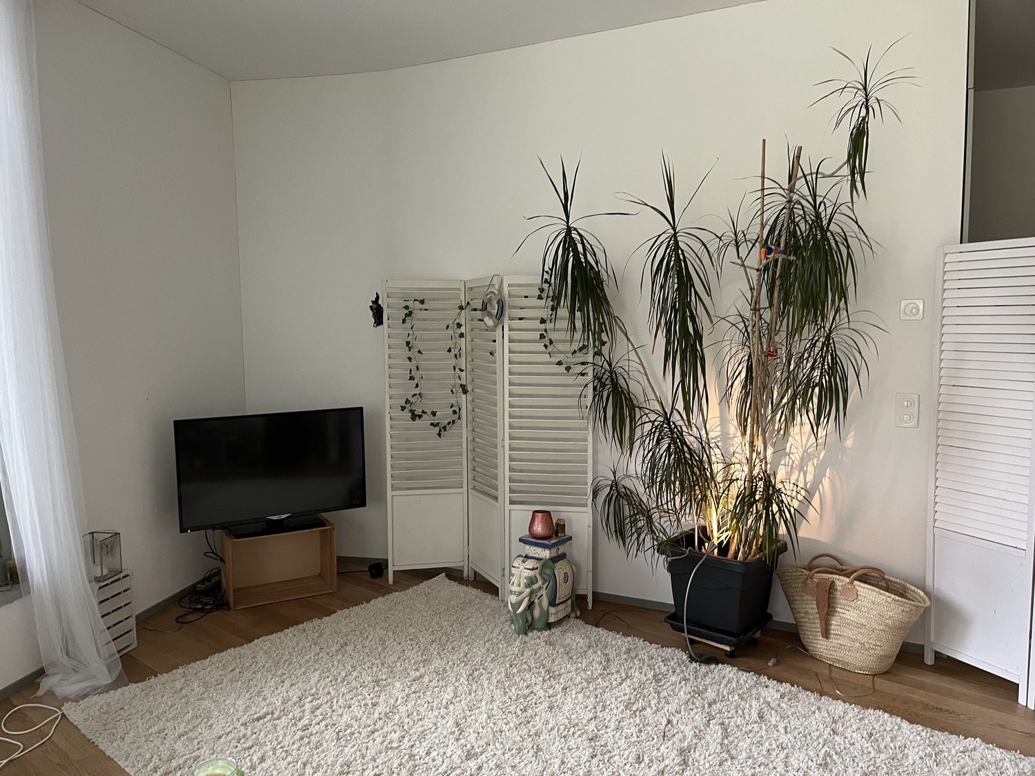 2 rooms furnished flat, photo 2 of 7