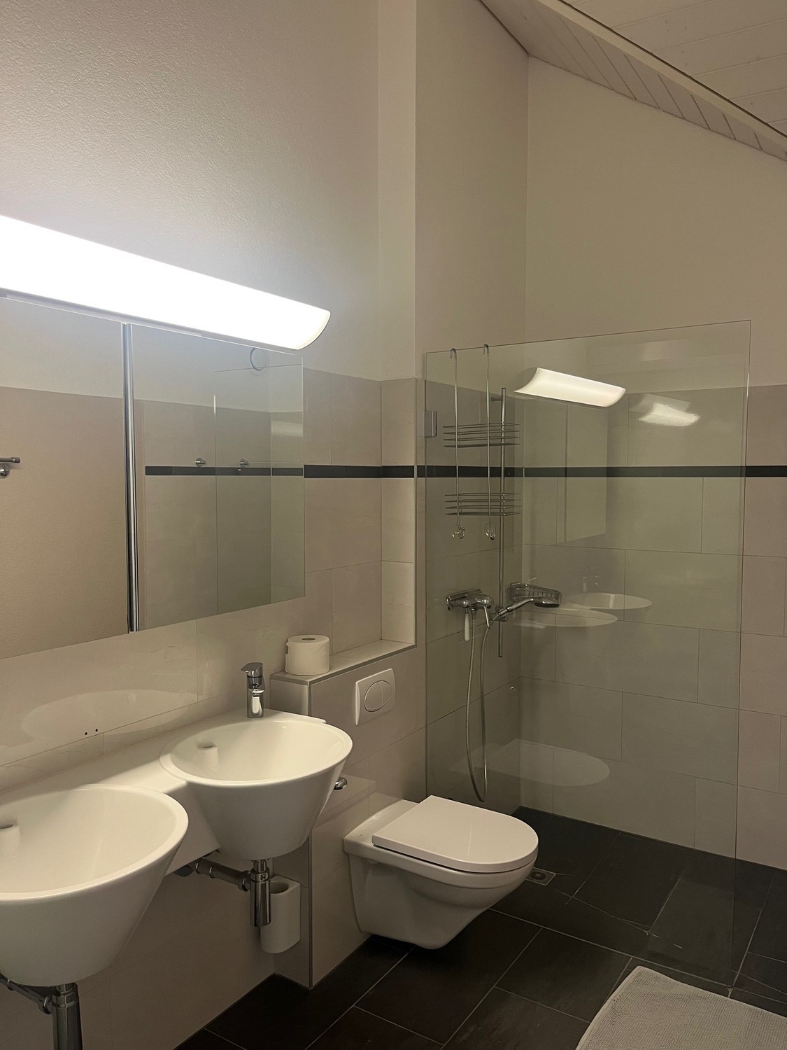 Room in a shared flat