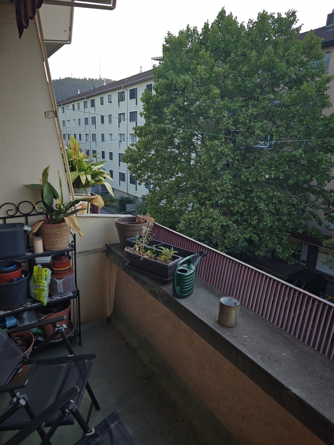 2 ½ rooms apartment, photo 4 of 10