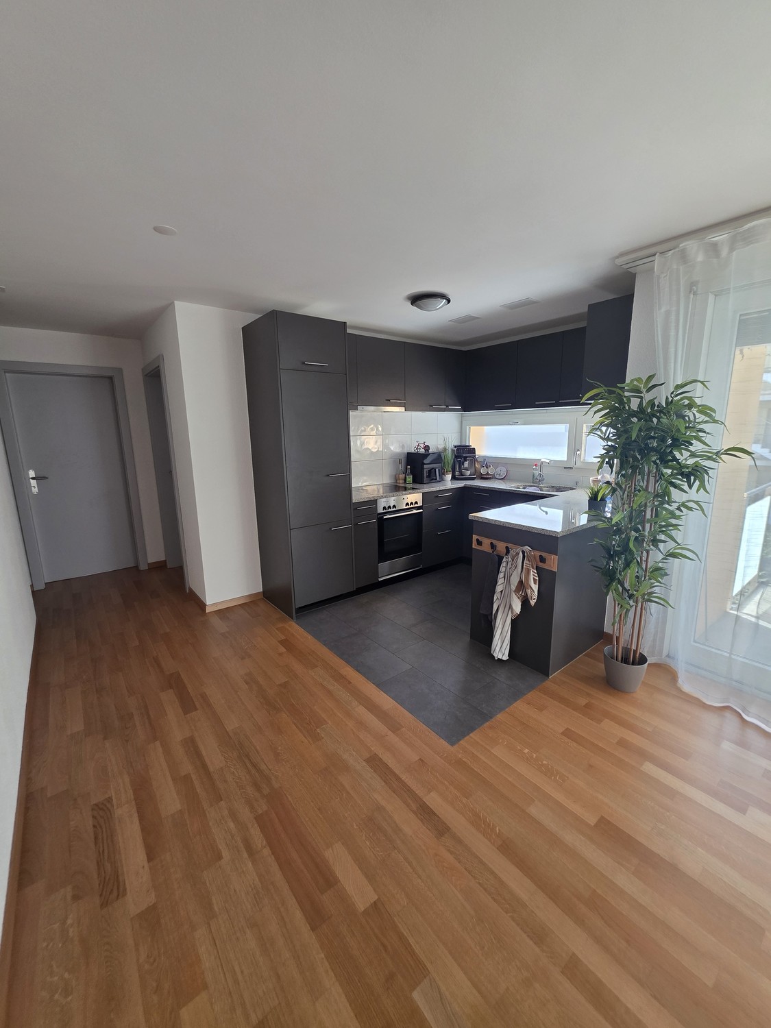 4 ½ rooms apartment, photo 3 of 10