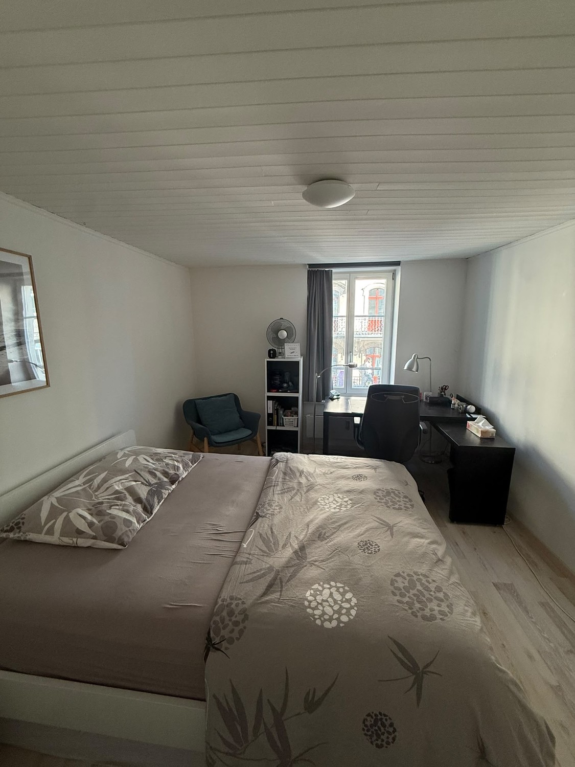 Room in a shared flat