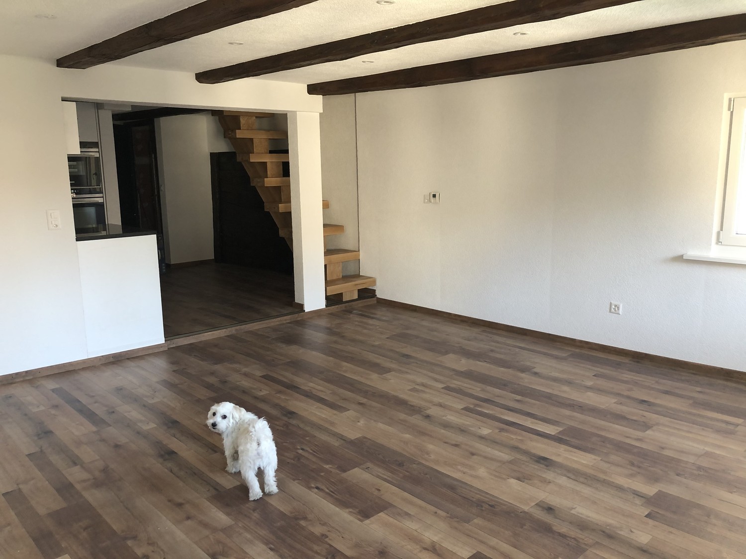 5 ½ rooms apartment