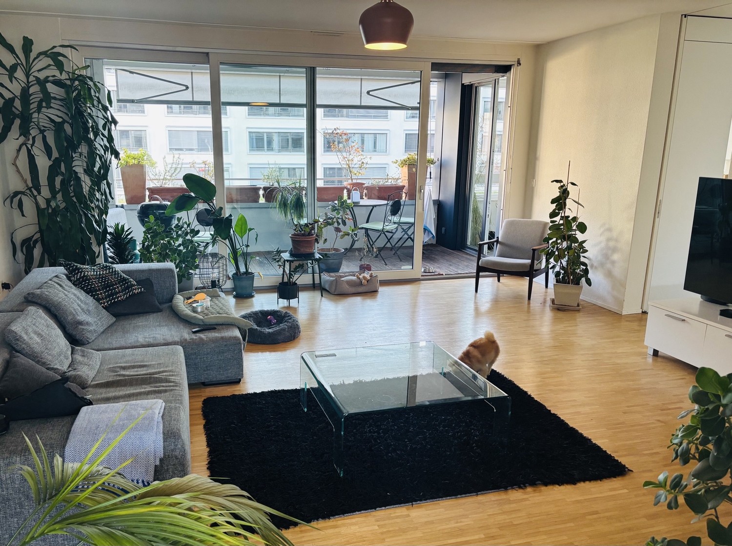Room in a shared flat, photo 10 of 10