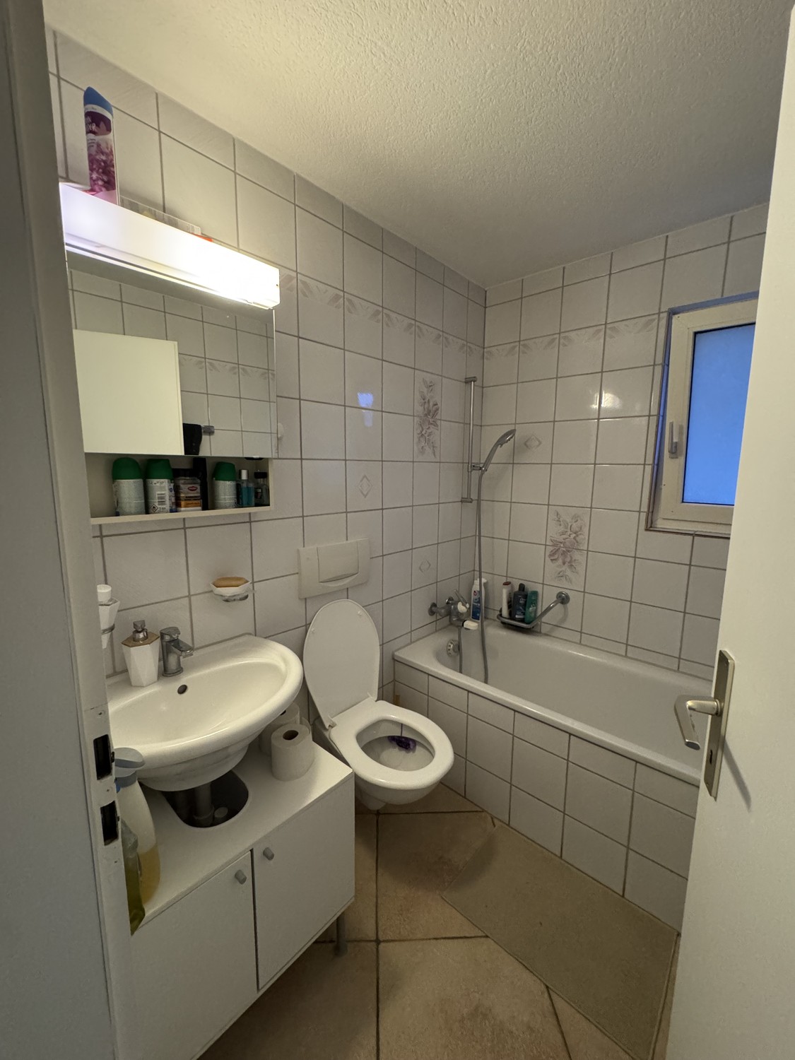 Appartamento di 2 ½ locali