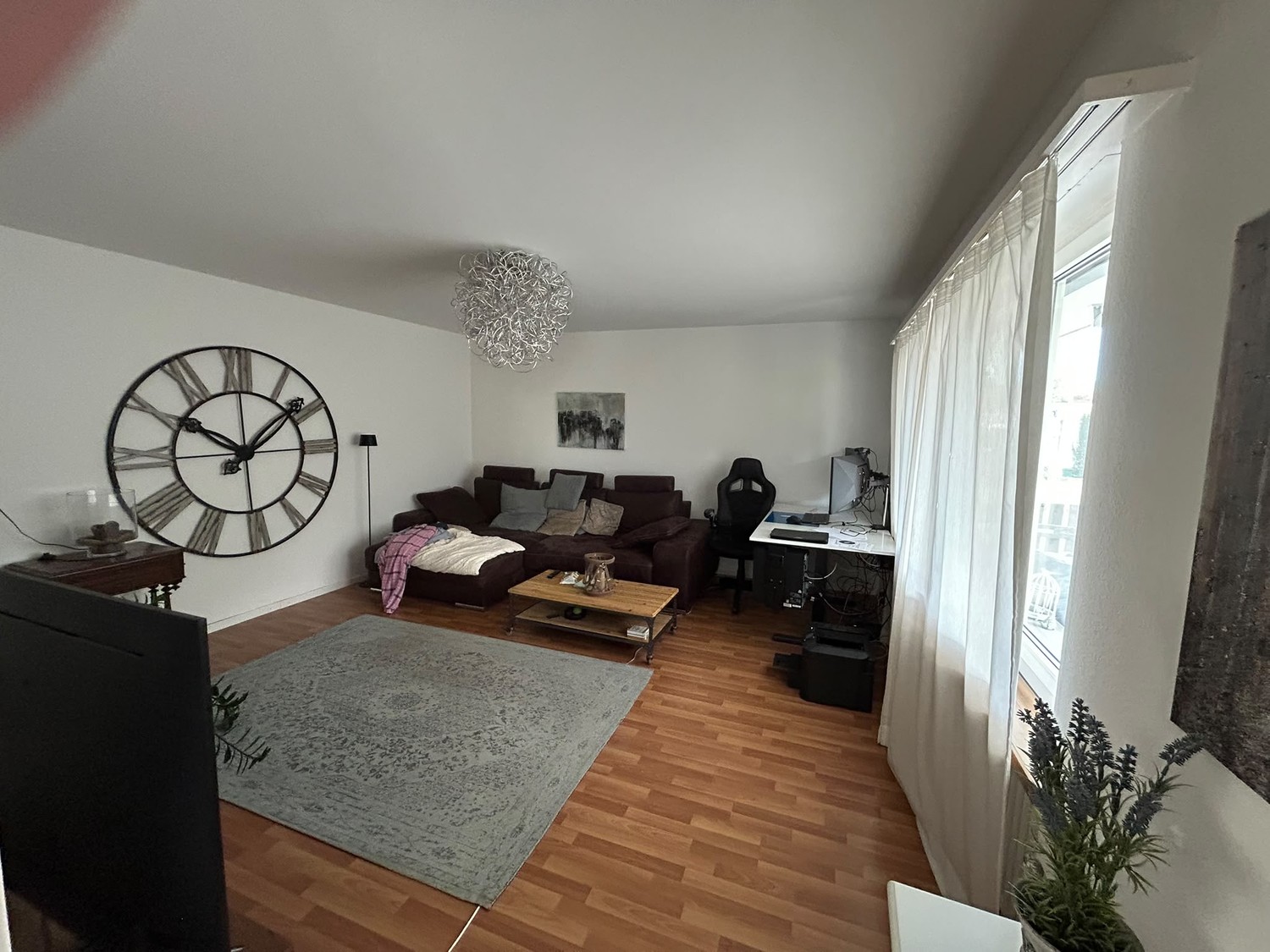 Appartamento di 3 ½ locali