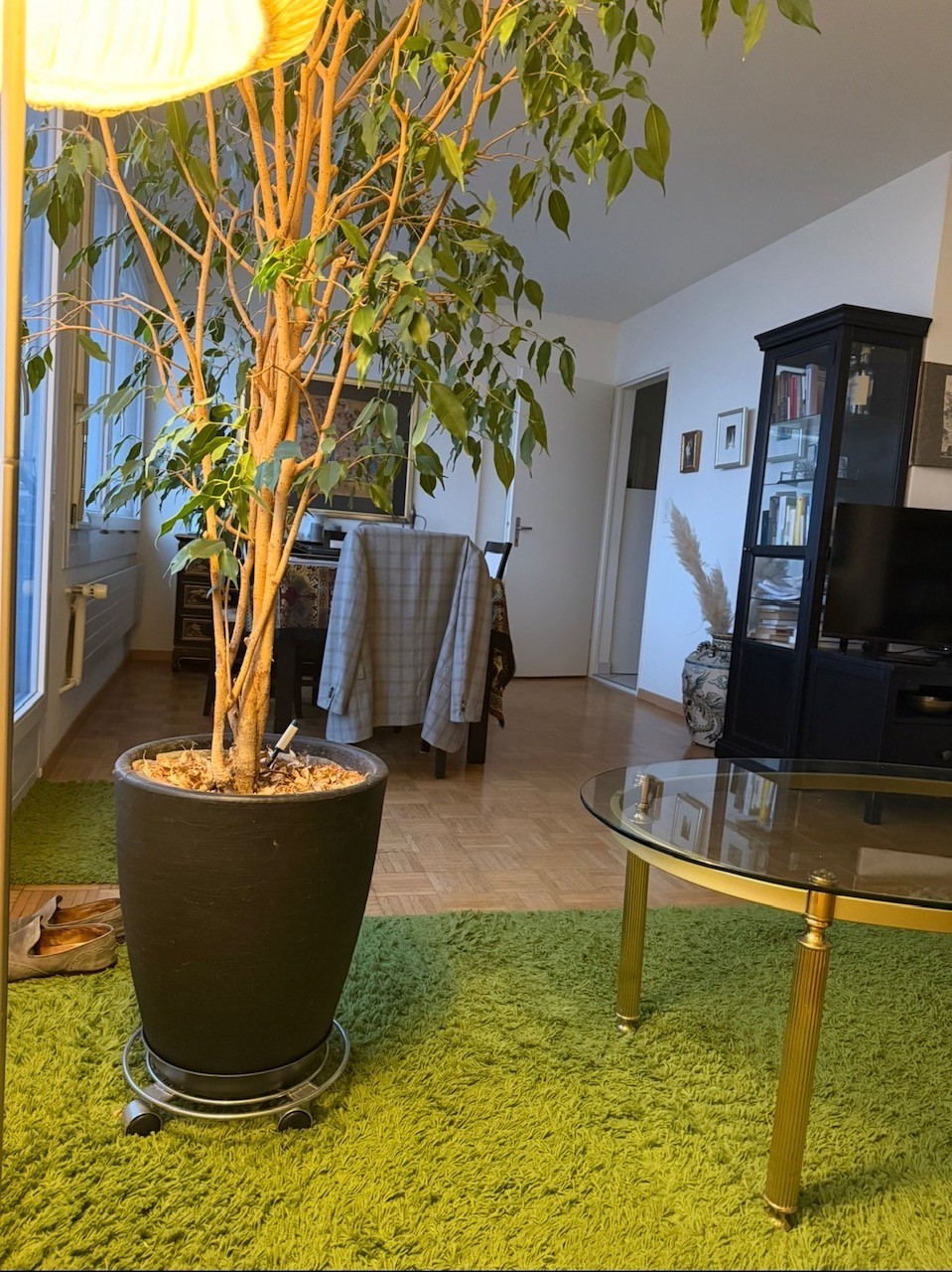 Room in a shared flat