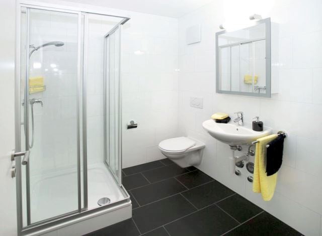 Appartement de 2 ½ pièces