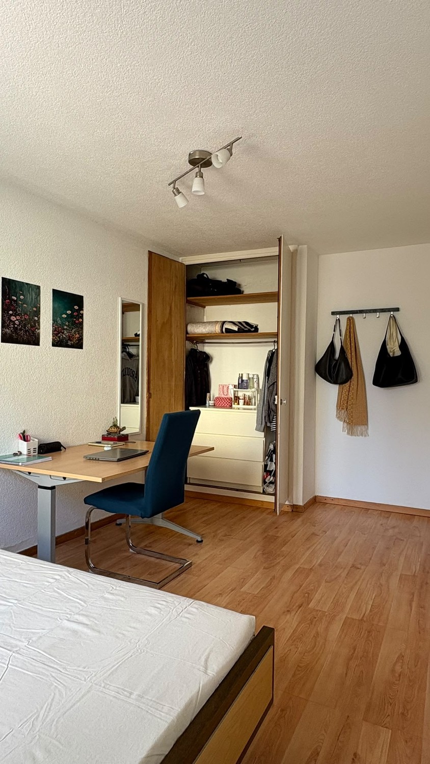Room in a shared flat