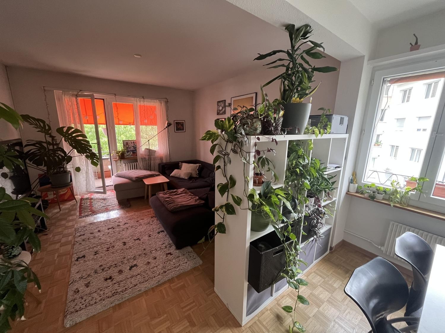 Room in a shared flat
