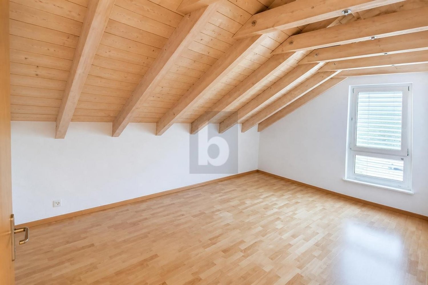 2 ½ room attic apartment