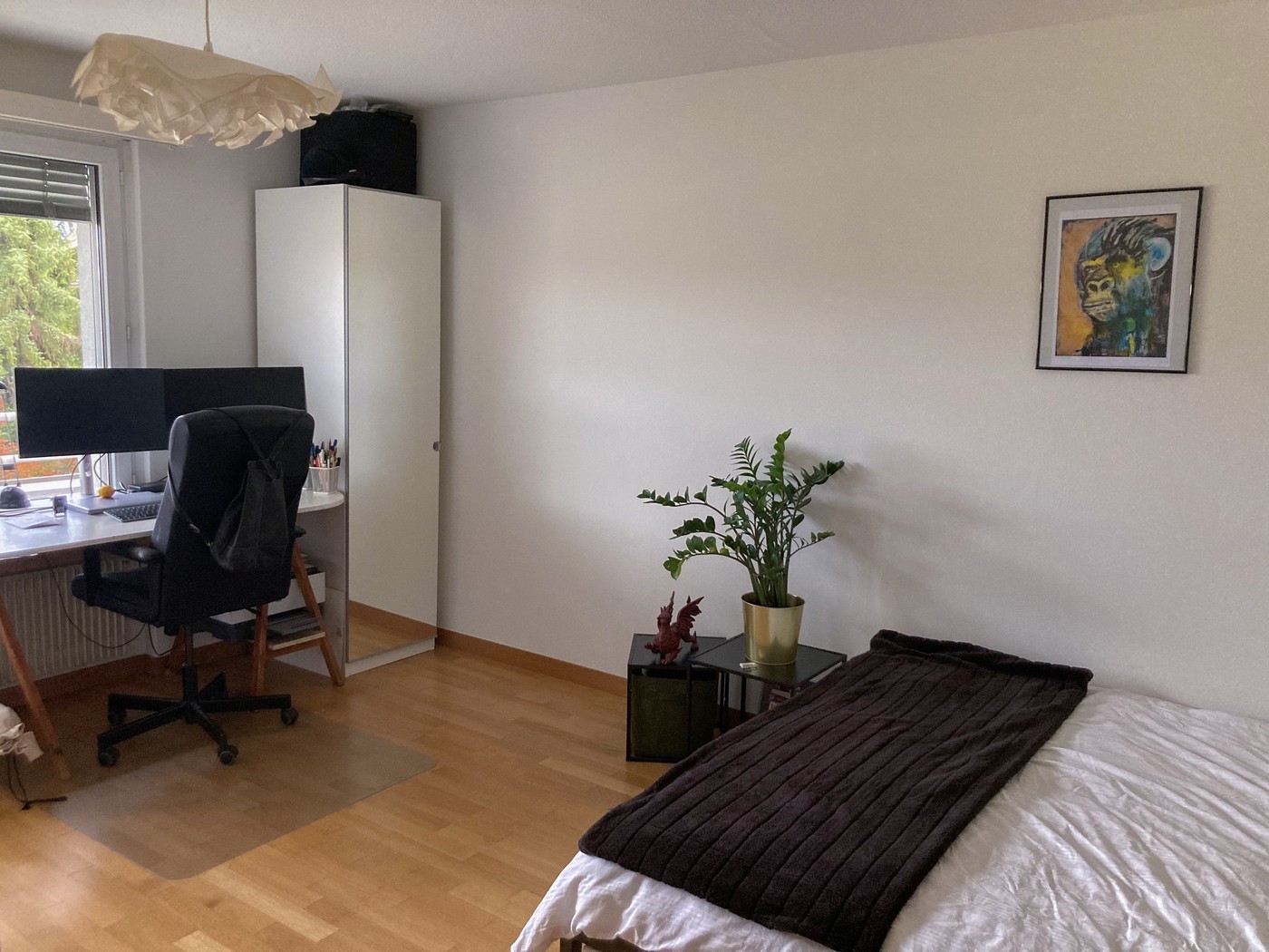 Room in a shared flat