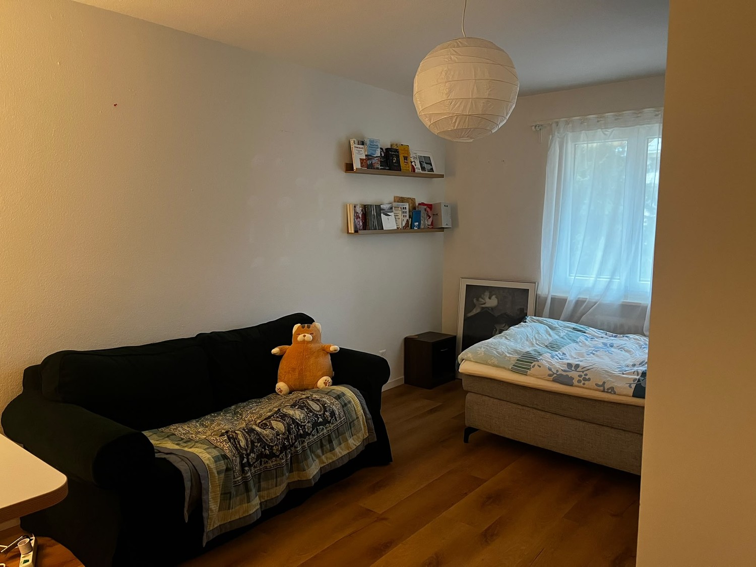 Chambre dans une colocation