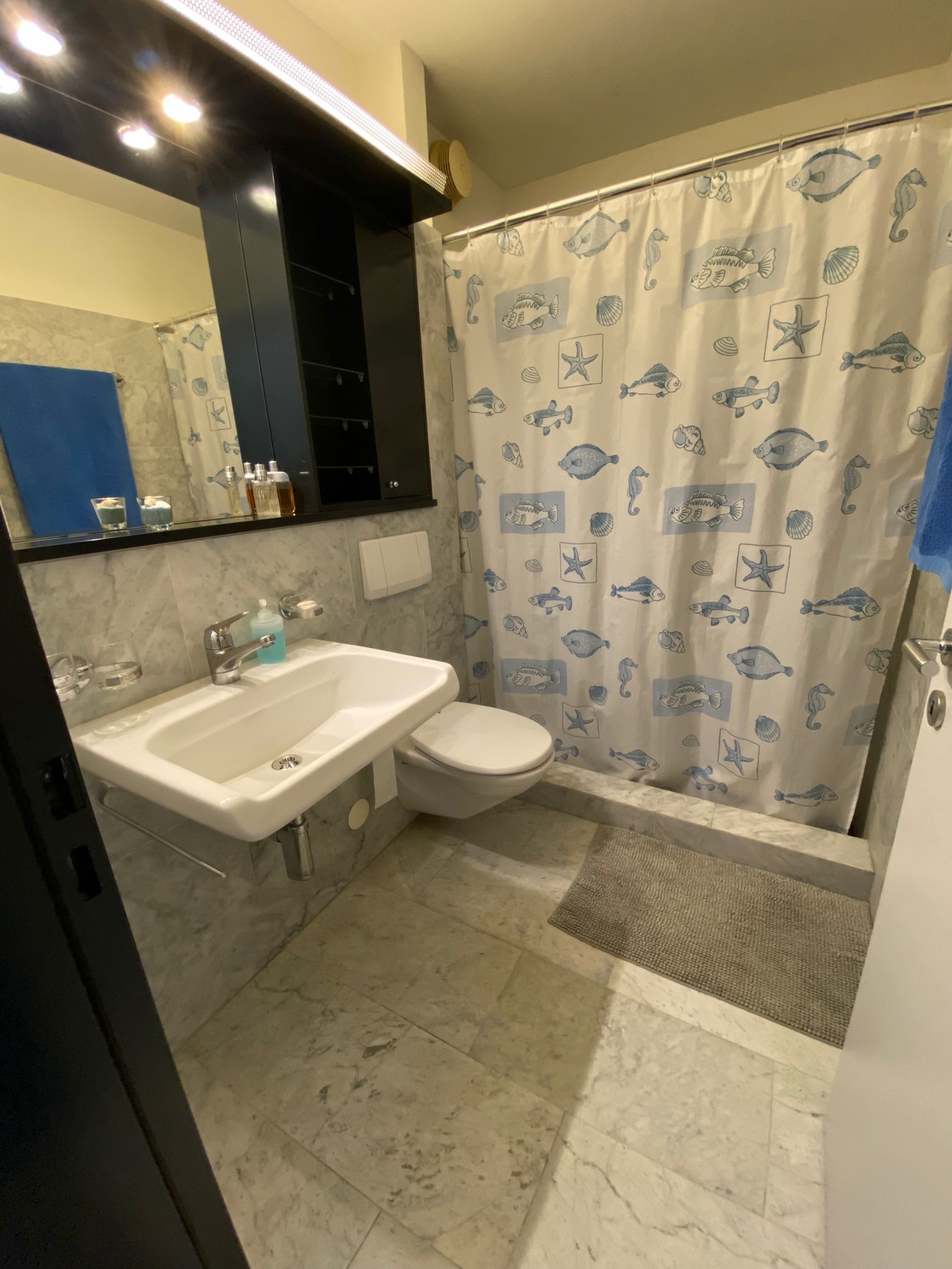 4 ½ rooms apartment, photo 9 of 10
