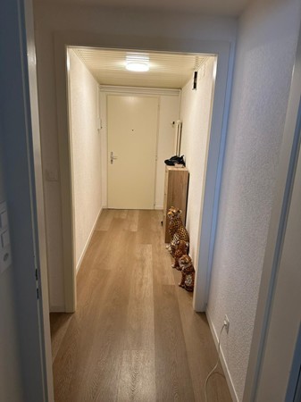 3 ½ Zimmer Wohnung