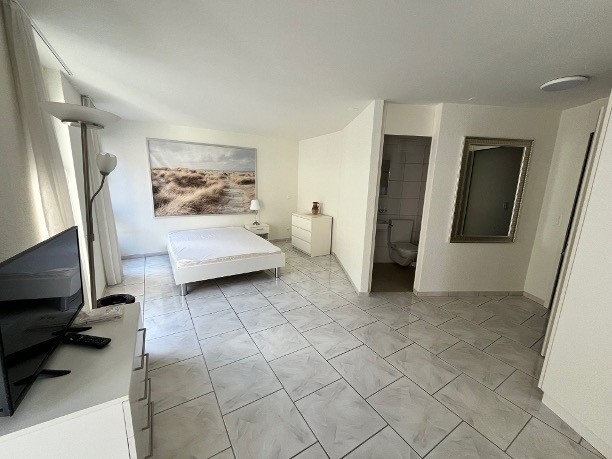 1 room apartment