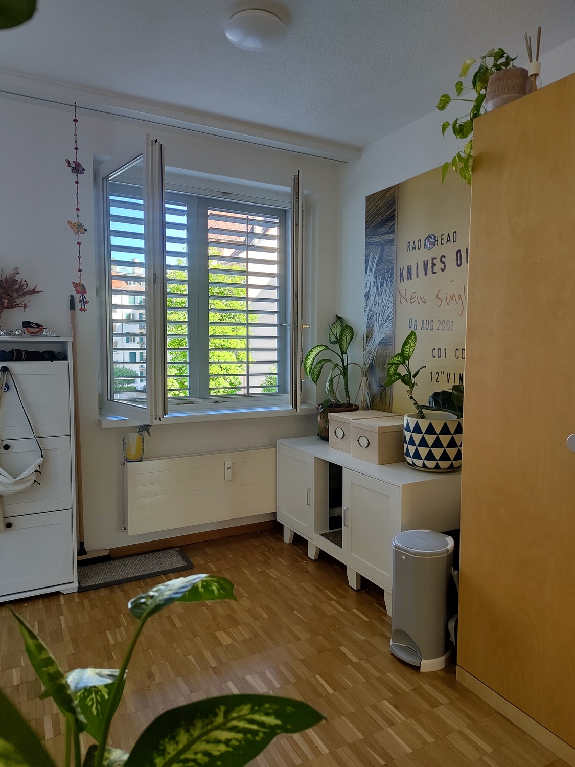 Room in a shared flat, foto 8 di 8