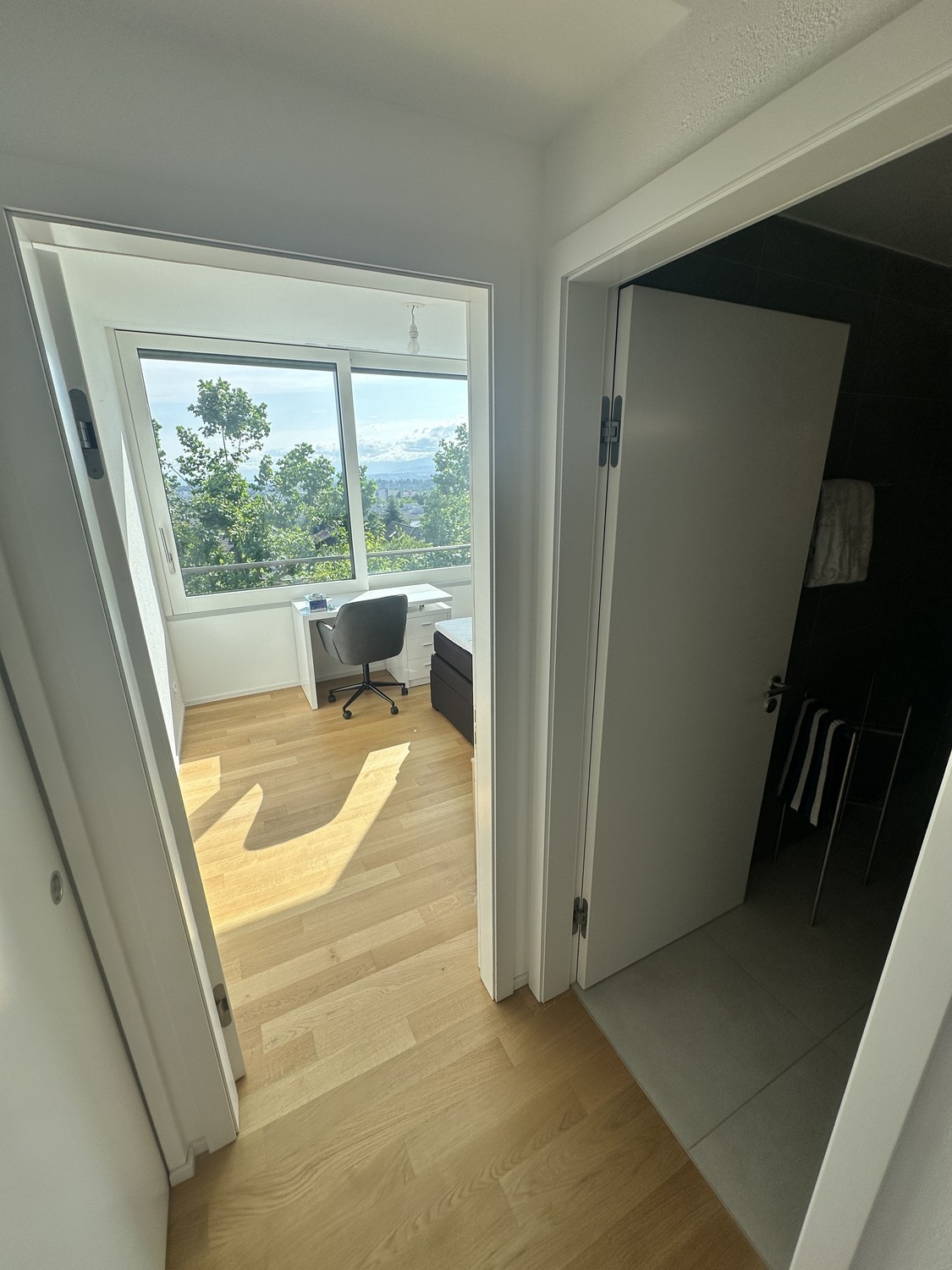 Room in a shared flat