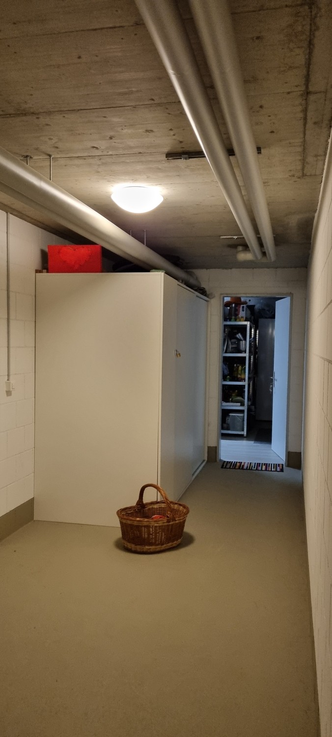 3 ½ room apartment