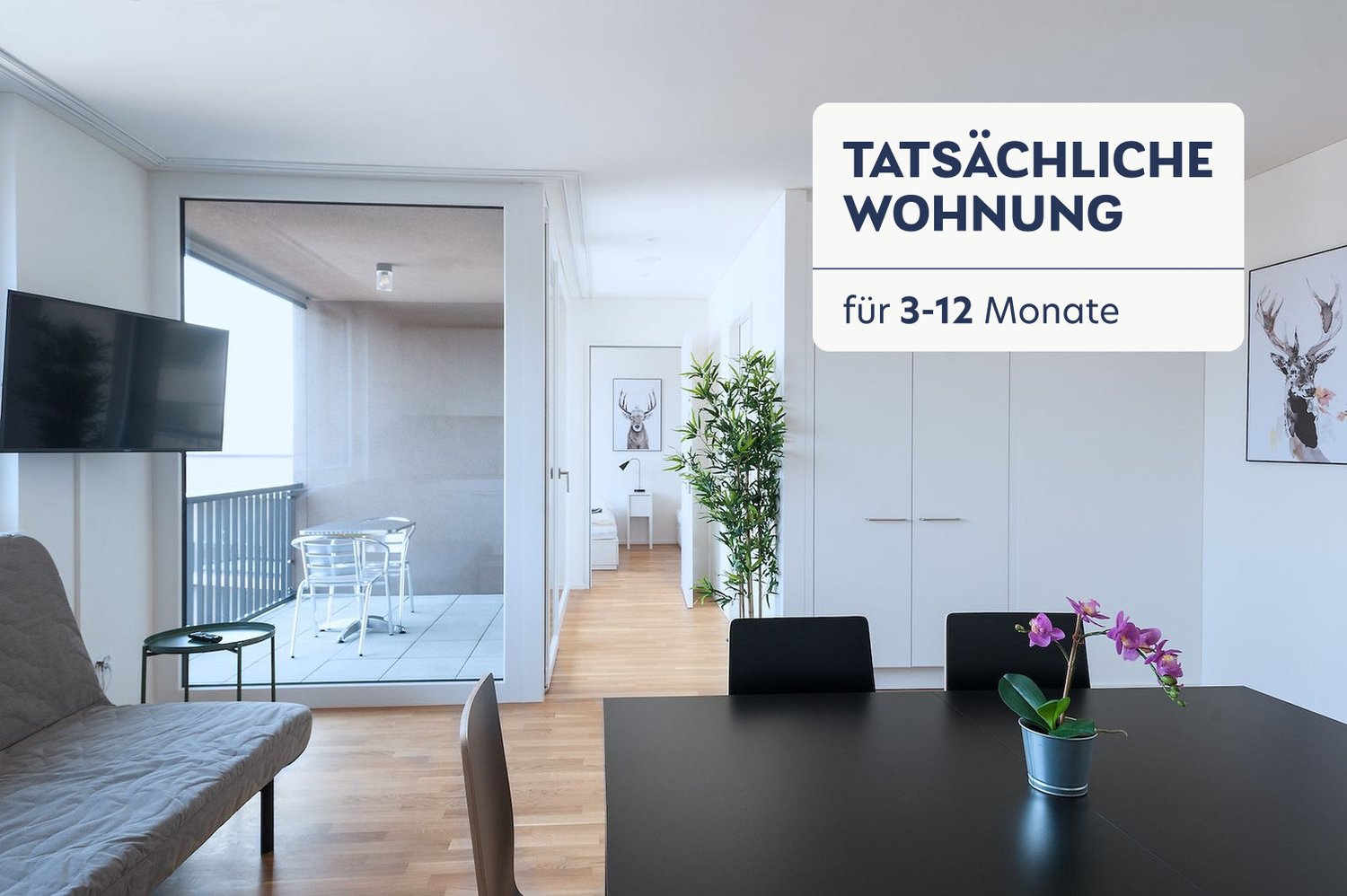2 rooms furnished flat, photo 1 of 10