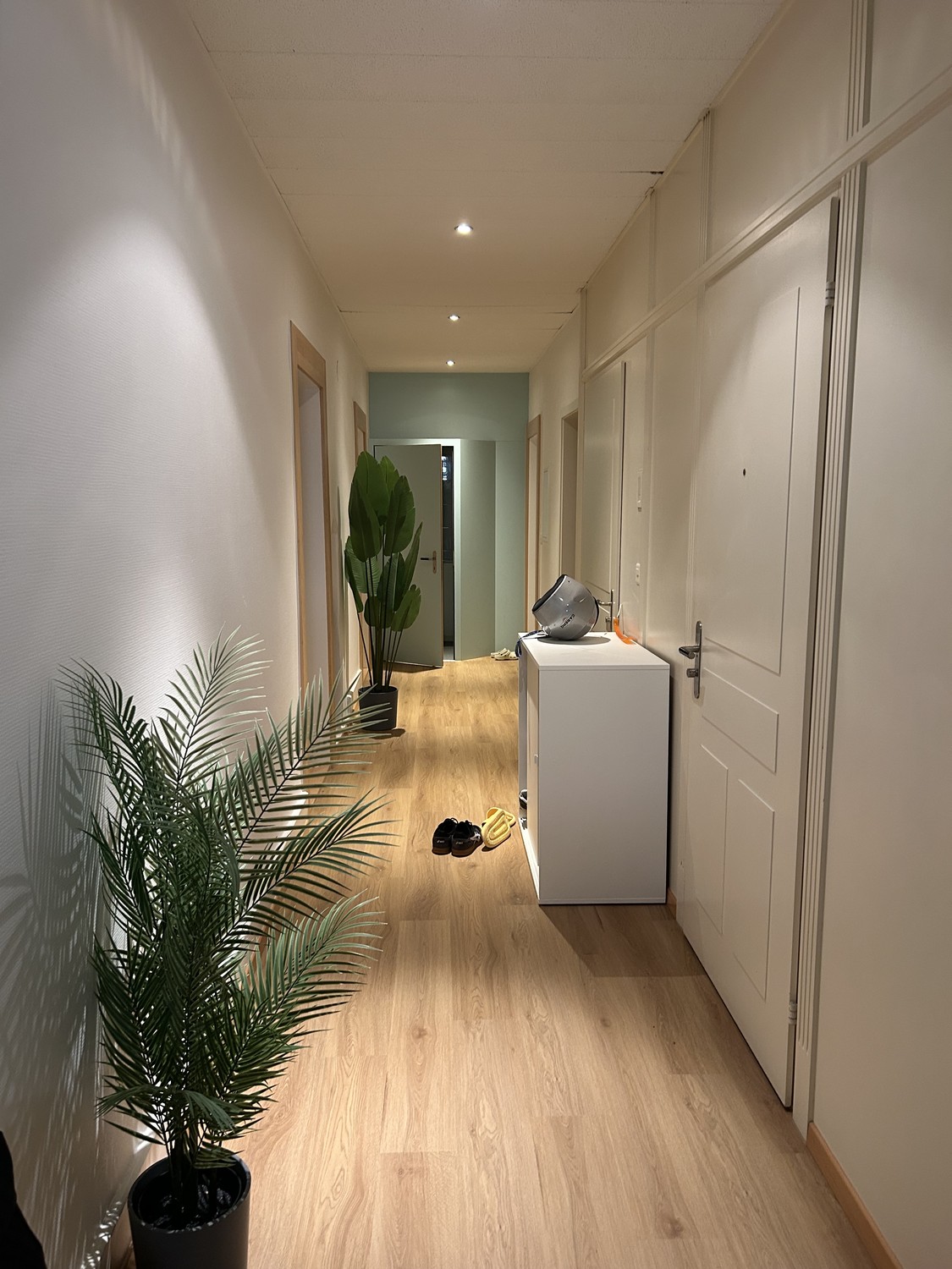 Room in a shared flat