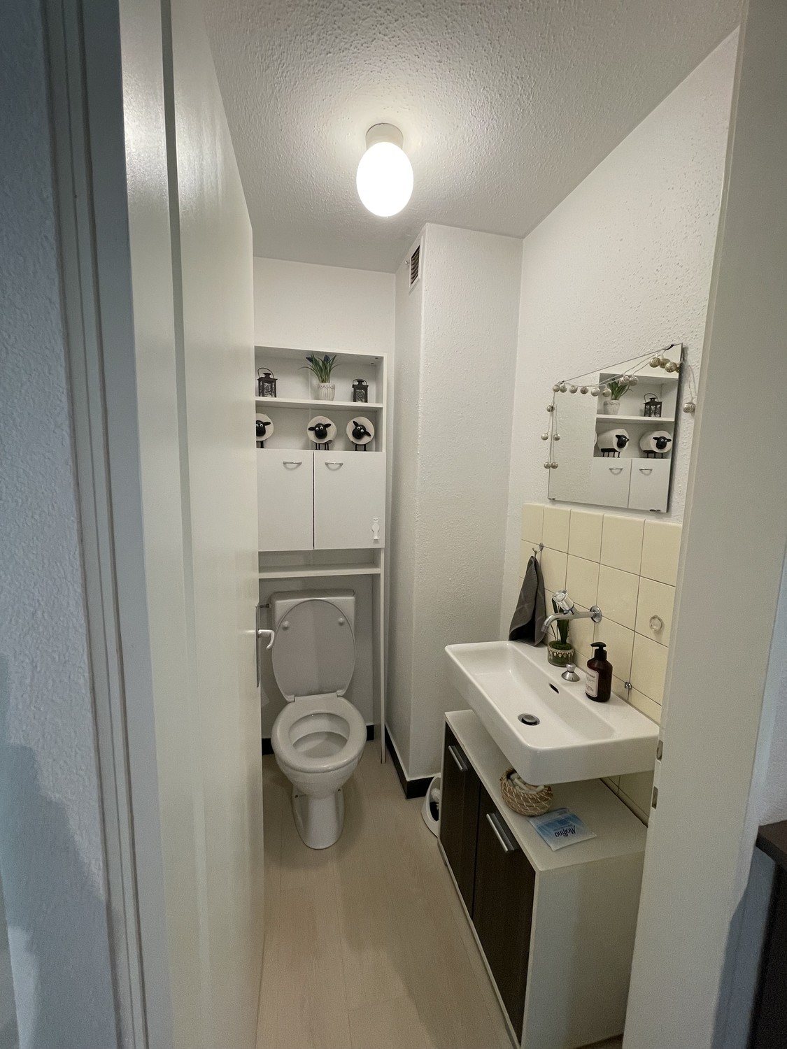 Room in a shared flat