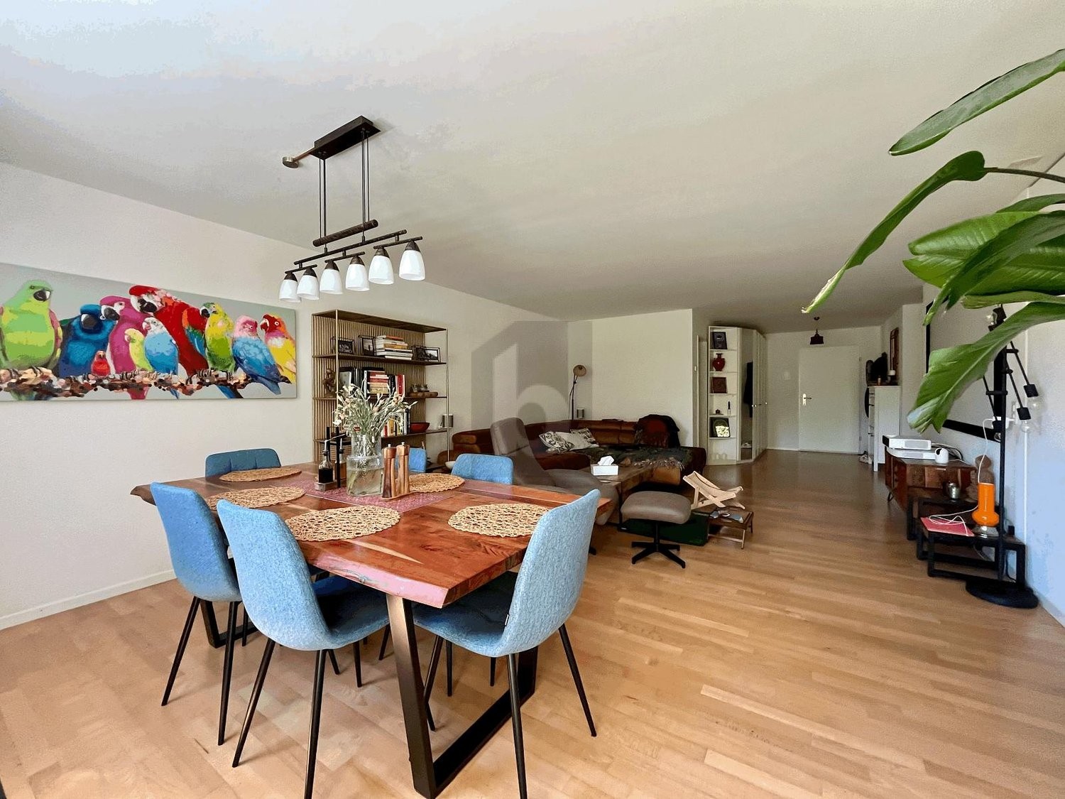 Appartement de 3 ½ pièces
