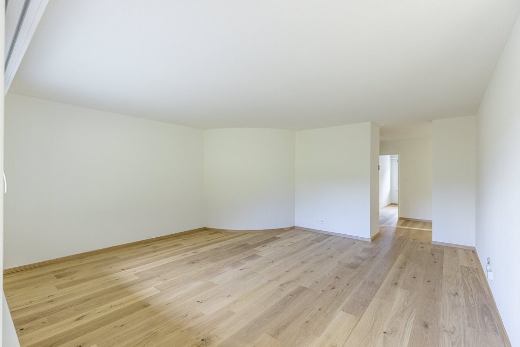 3 ½ rooms apartment (8)