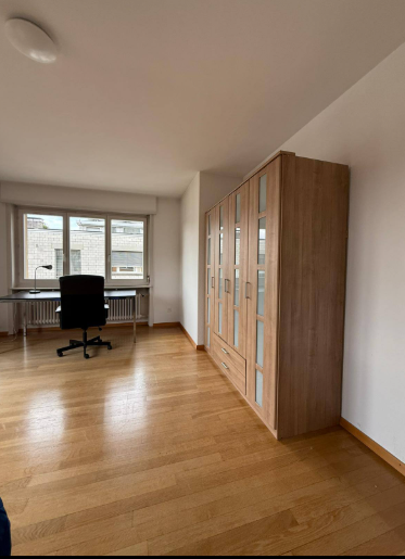 1 room furnished flat, photo 2 of 8