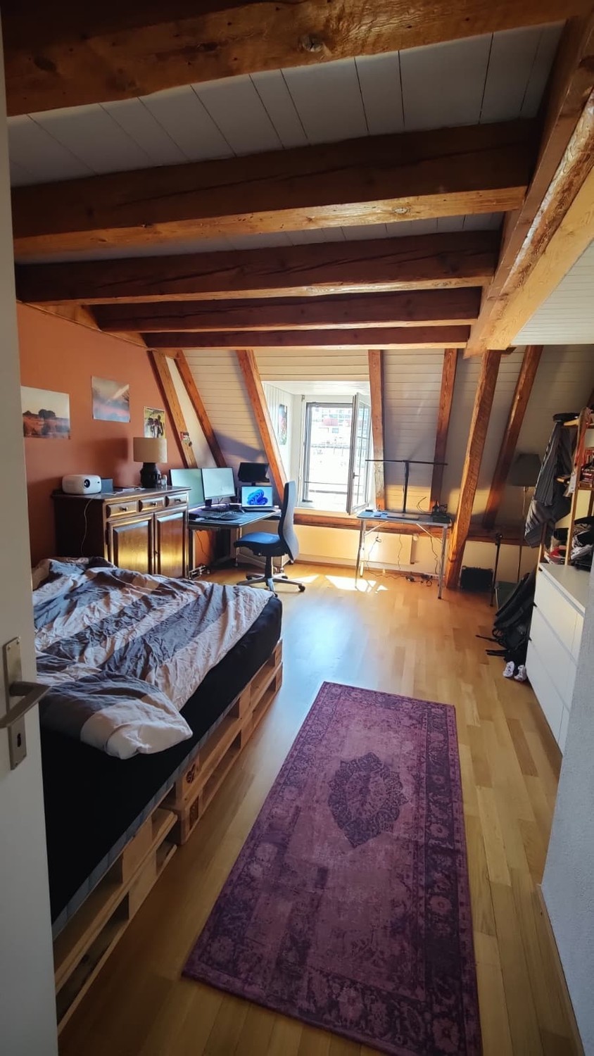 Room in a shared flat