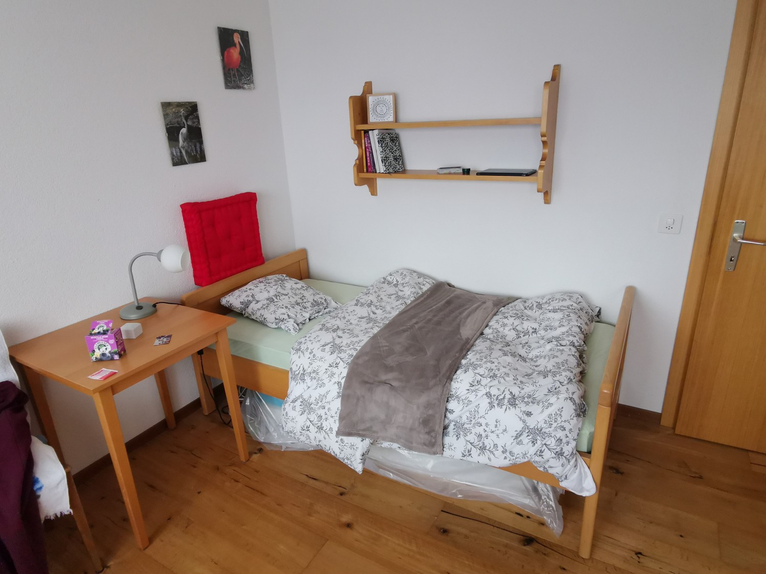 Room in a shared flat