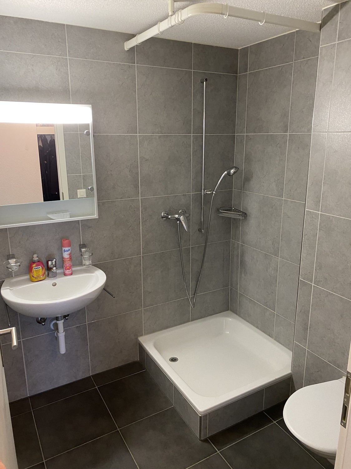 5 ½ room apartment