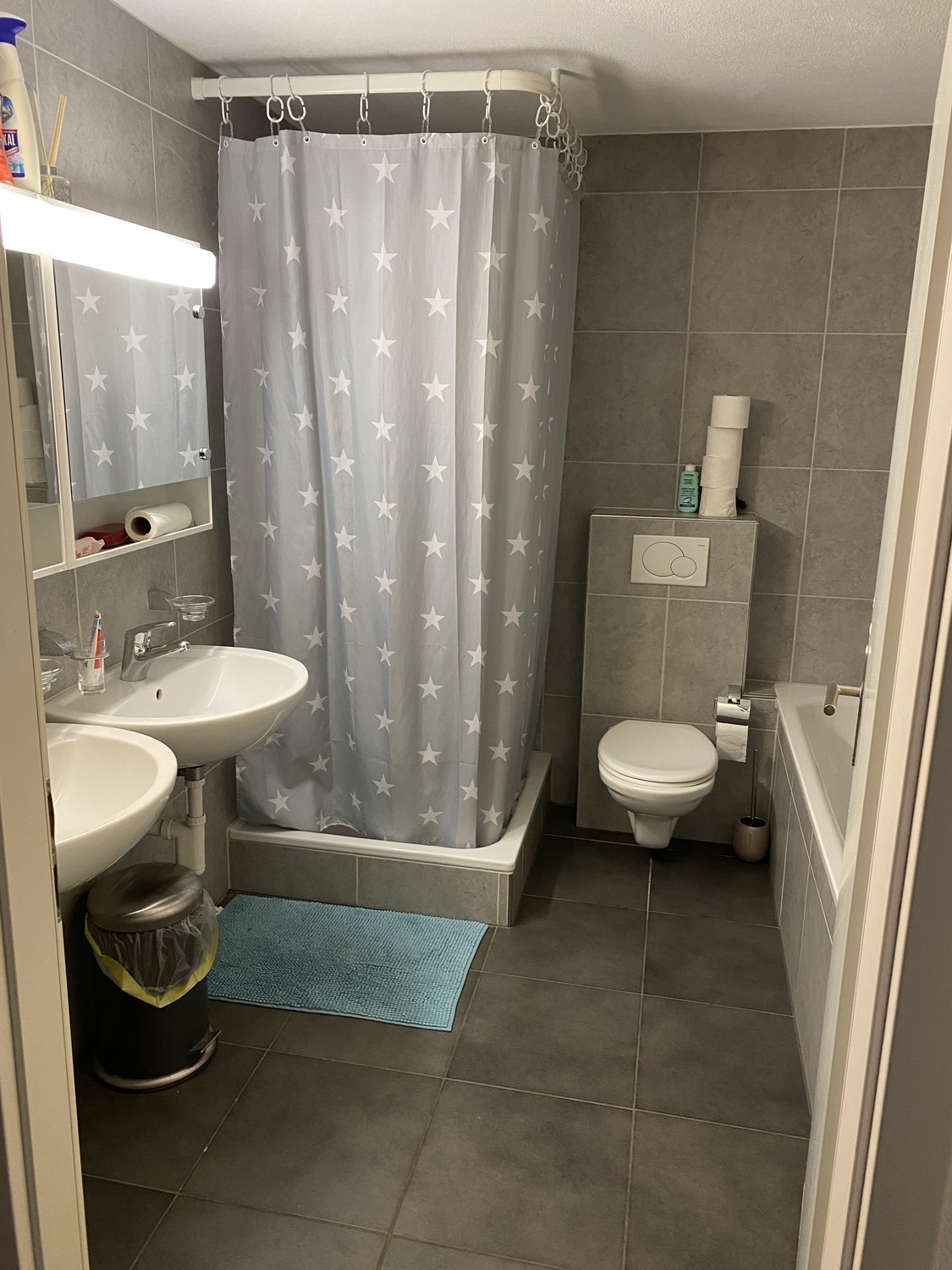 5 ½ room apartment