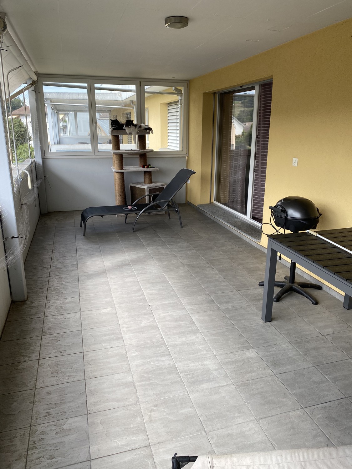 5 ½ room apartment