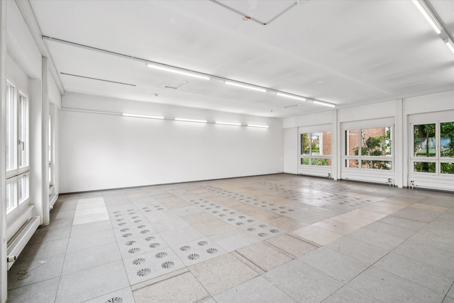 316m² commercial, photo 5 of 7