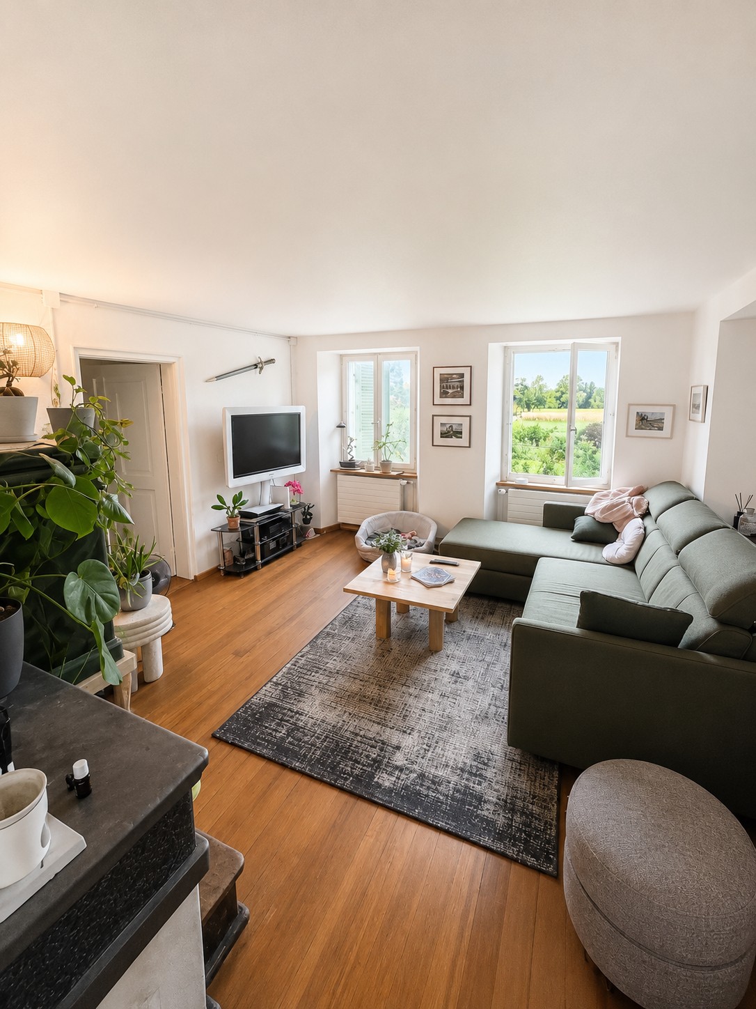 2 ½ rooms apartment