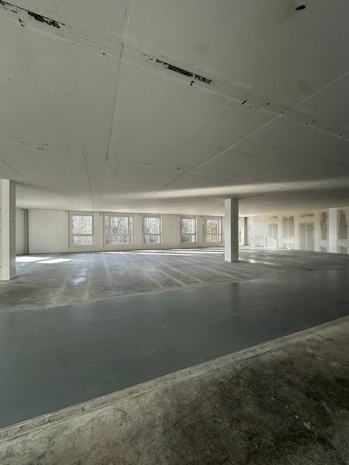 303m² commerciale