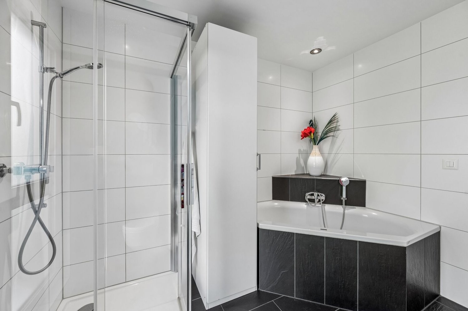 4 ½ pièces appartement