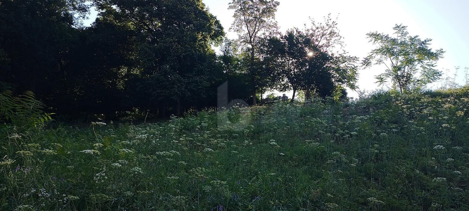 350m² building land, photo 3 of 4
