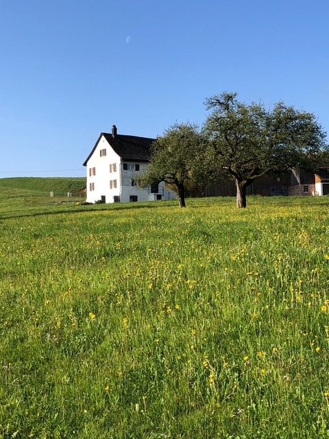 6 ½ rooms single house