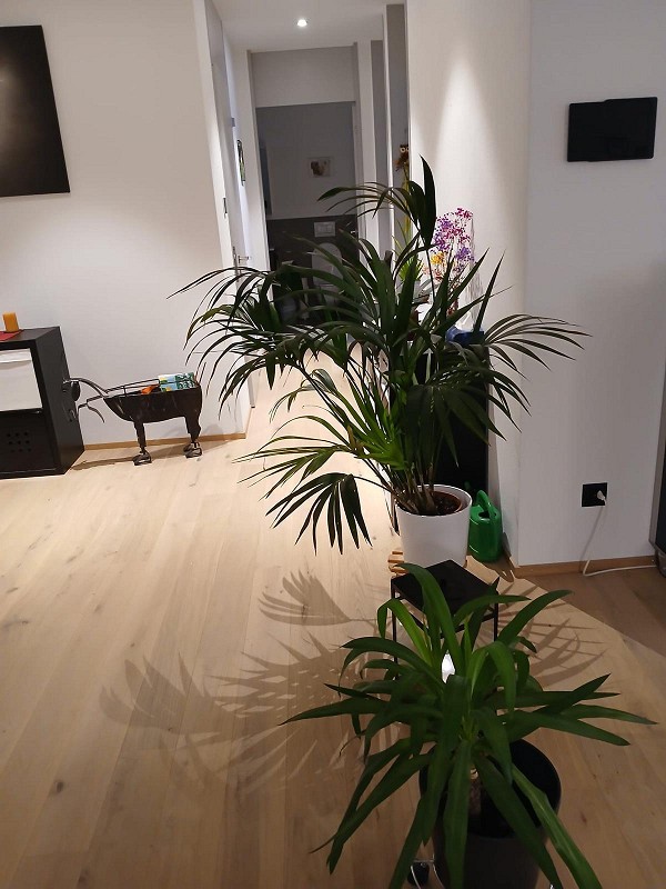 3 ½ rooms apartment, photo 9 of 10