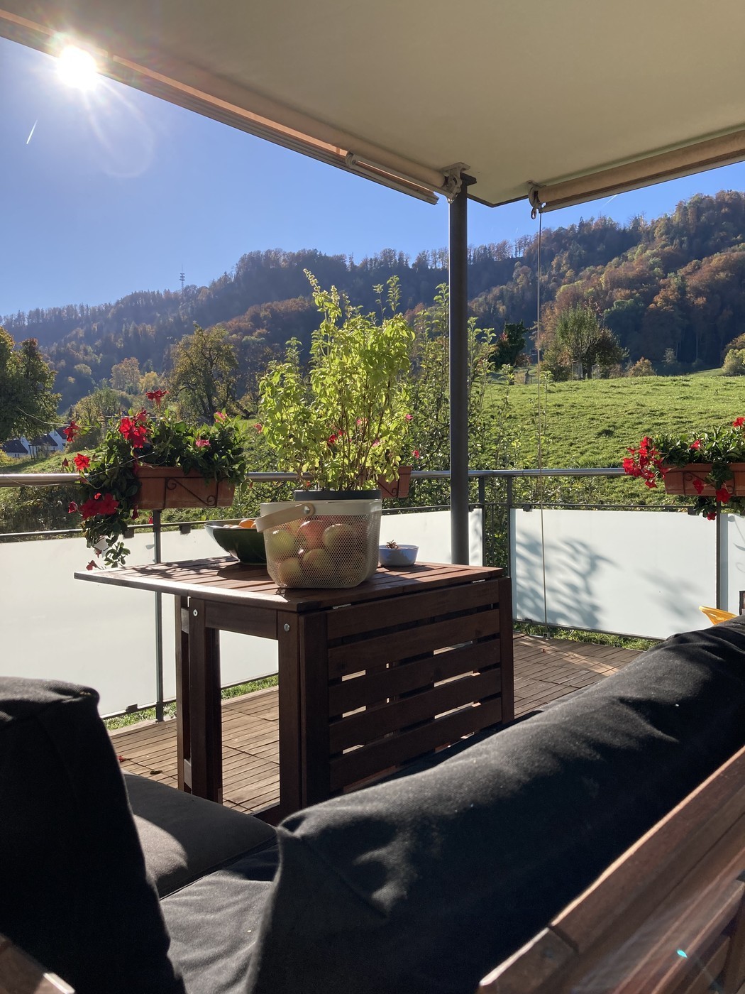 Bright 4.5-room apartment with dream views – Zurich 8041, photo 10 of 10