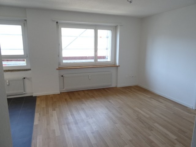 1 rooms apartment