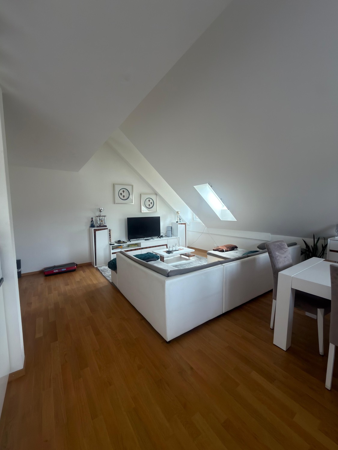 Appartement de 3 ½ pièces