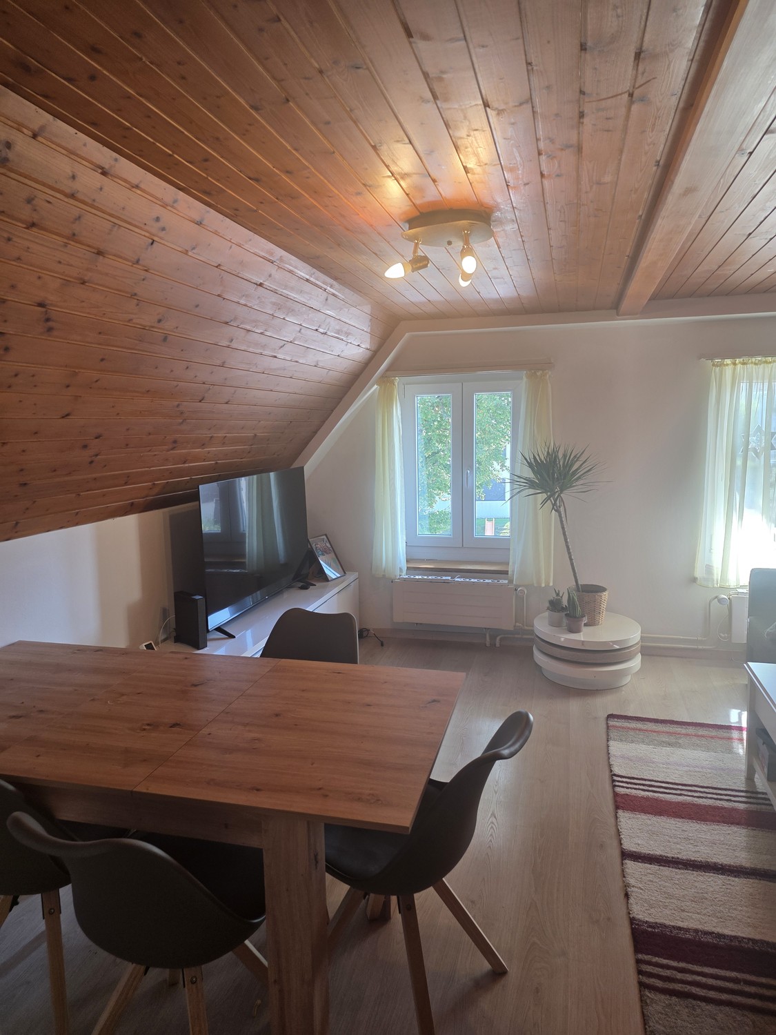 4 ½ rooms apartment