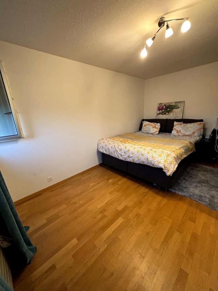 Room in a shared flat