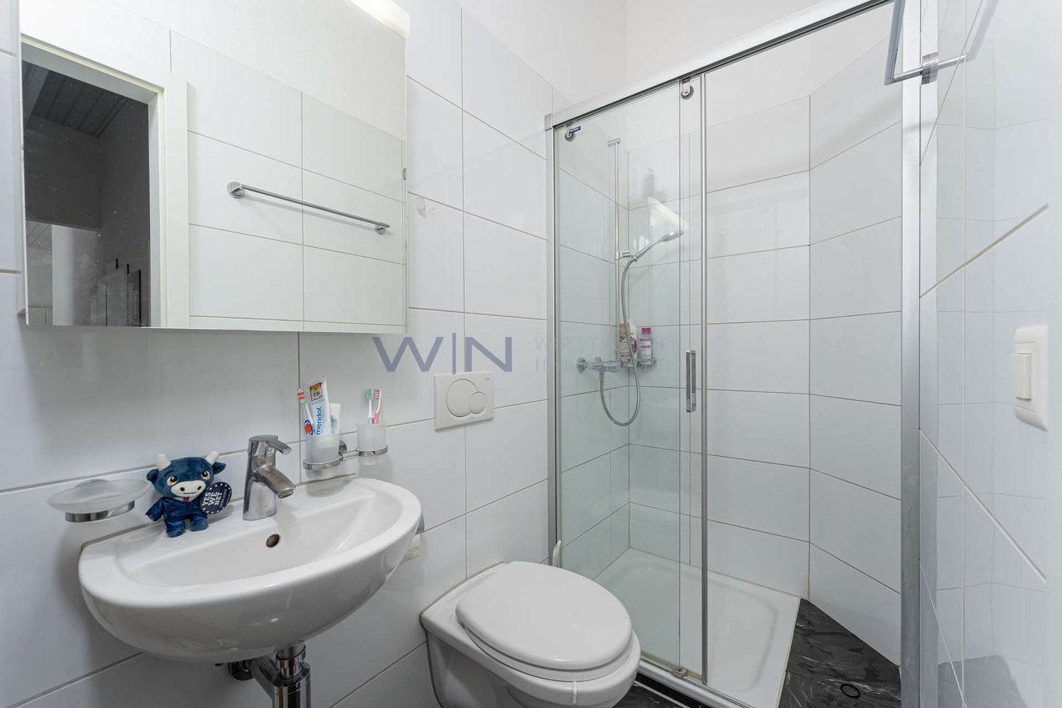 6 ½ rooms penthouse flat, photo 10 of 10