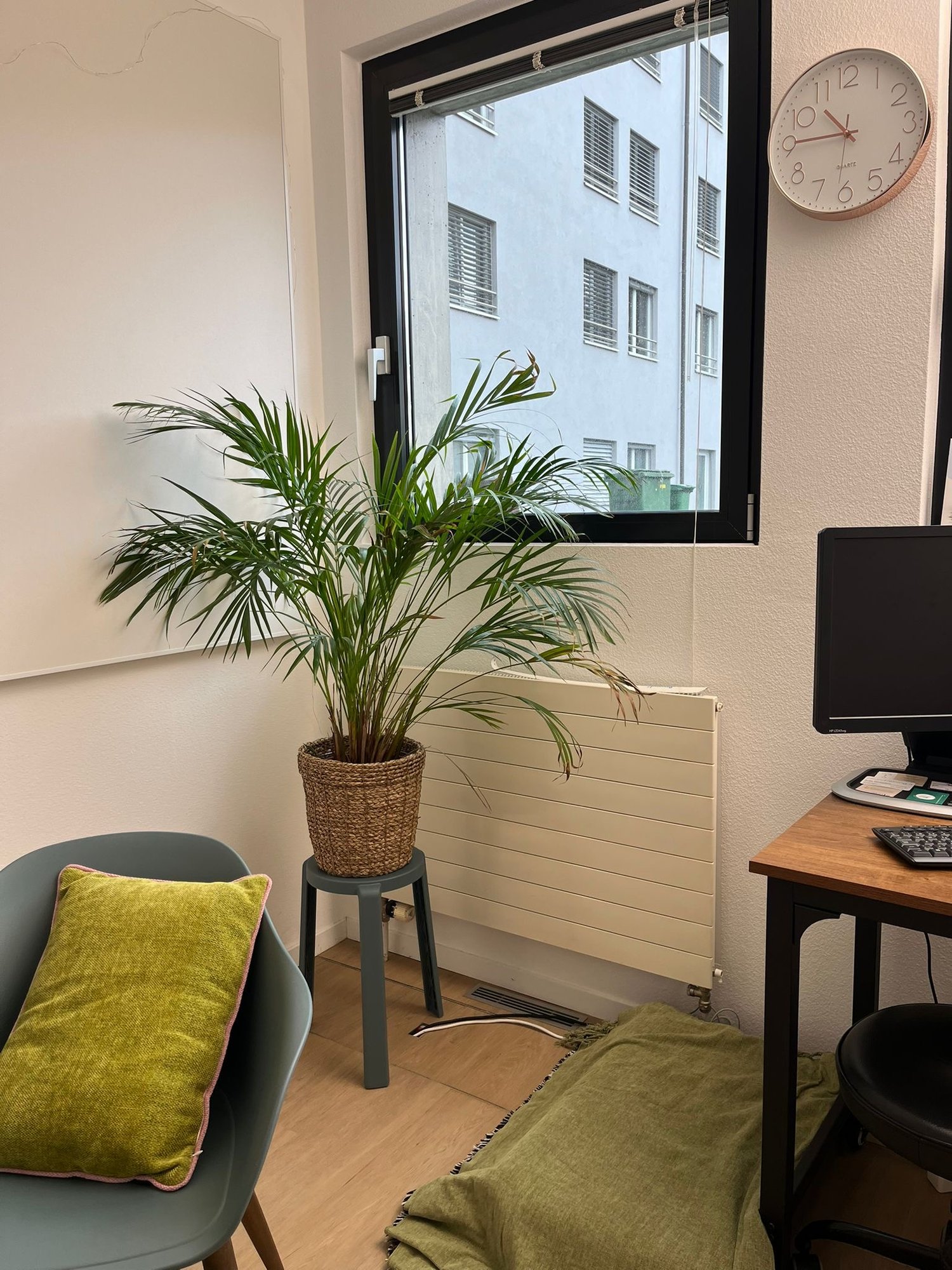 60m² practice, photo 6 of 10
