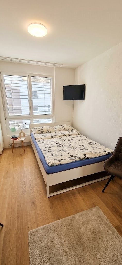 1 room furnished flat