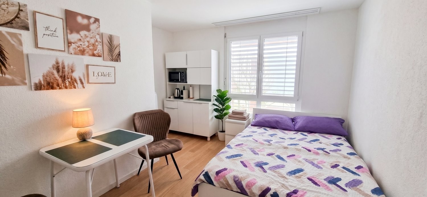1 room furnished flat