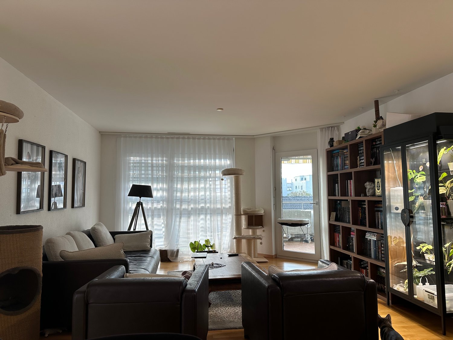Room in a shared flat
